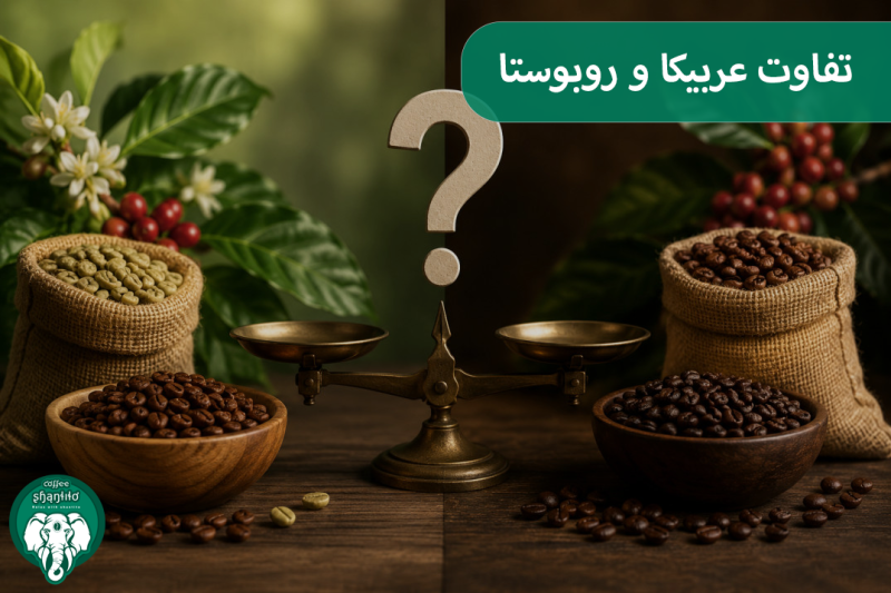 تفاوت قهوه عربیکا و روبوستا